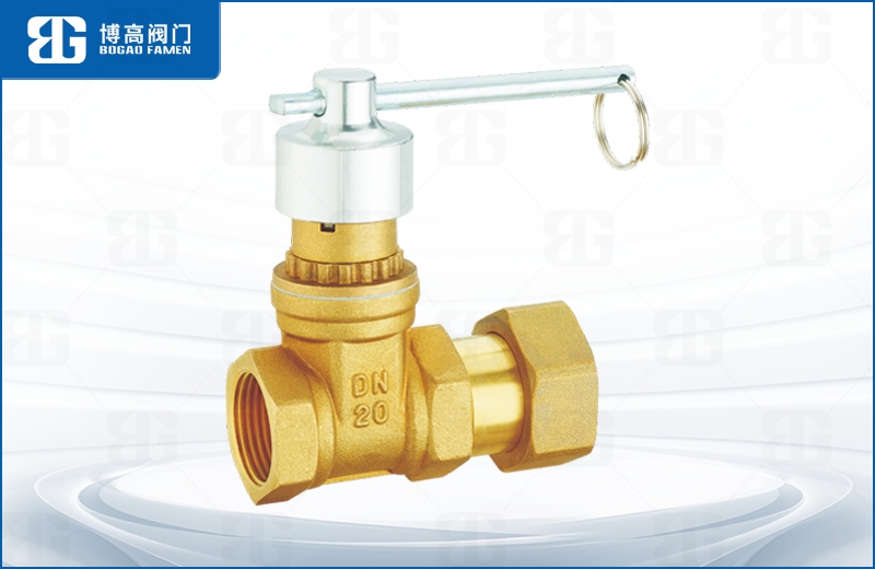 磁性鎖閉活接止(zhi)回閘閥